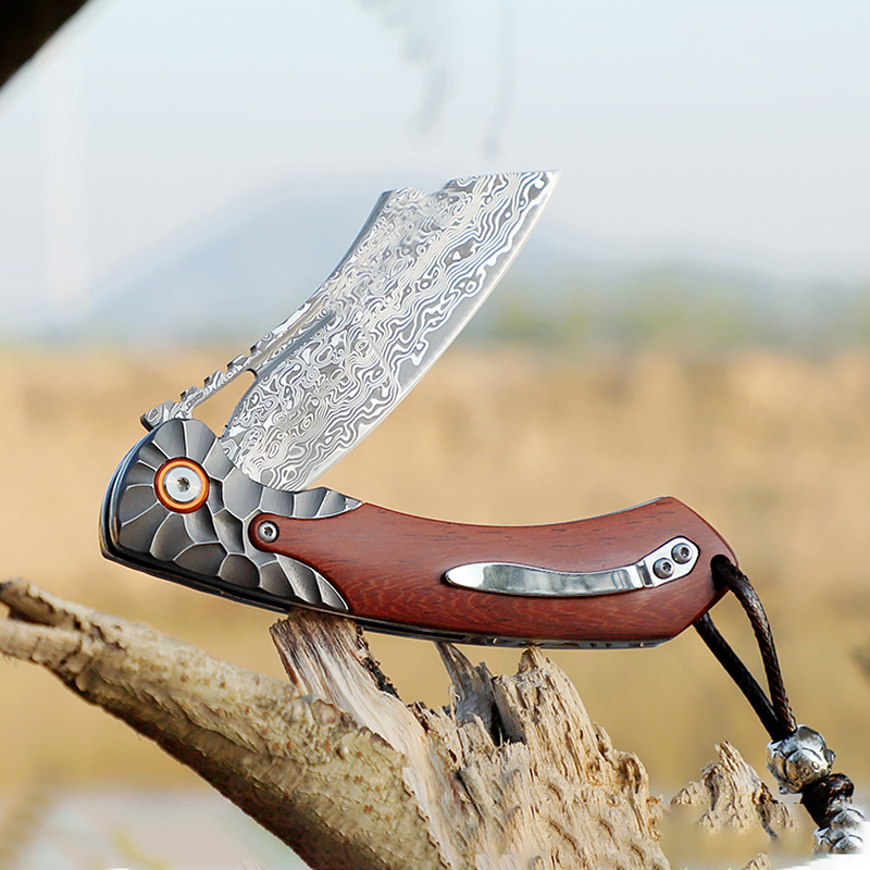 Cuchillo de bolsillo de acero  - Woodworking Z Clips reseña y precio
